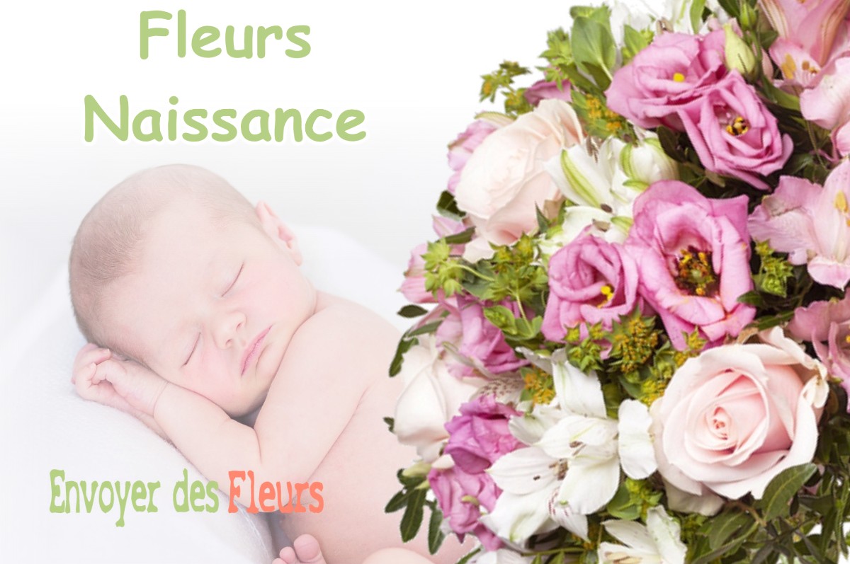 lIVRAISON FLEURS NAISSANCE à SALIGNEY